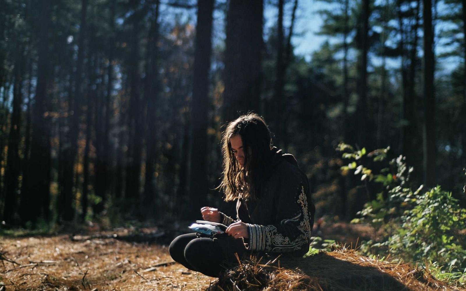 Someone sitting in a forest clearing